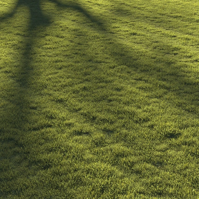 Lawn grass №2 — Descargar