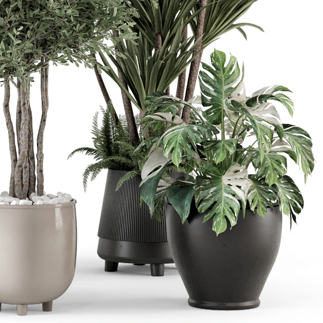 Indoor Plants in Ferm Living Bau Pot Large - Set 1325 — Descargar