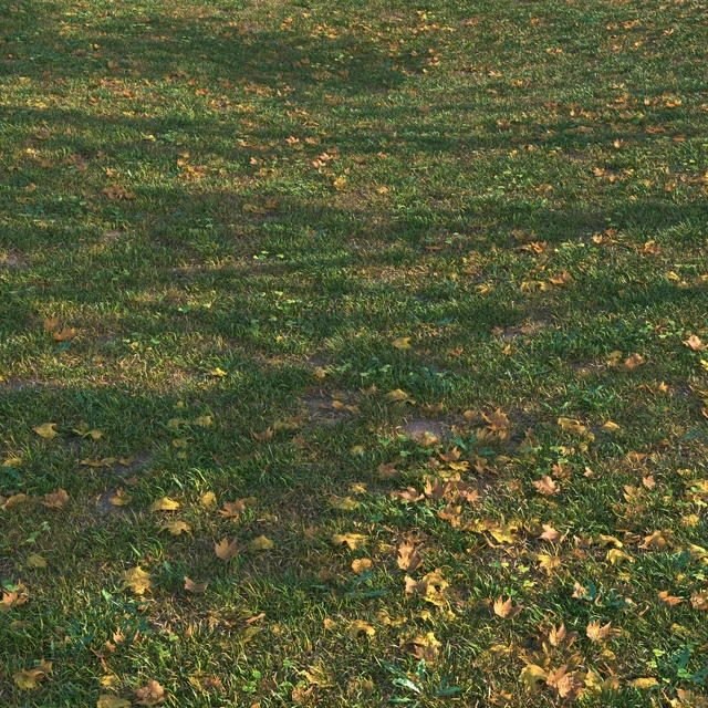 grass set05 with leaves — Descargar