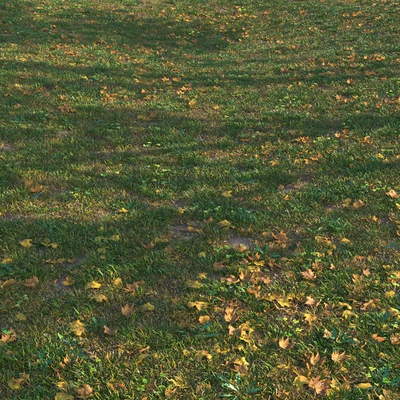 grass set05 with leaves — Ver 3