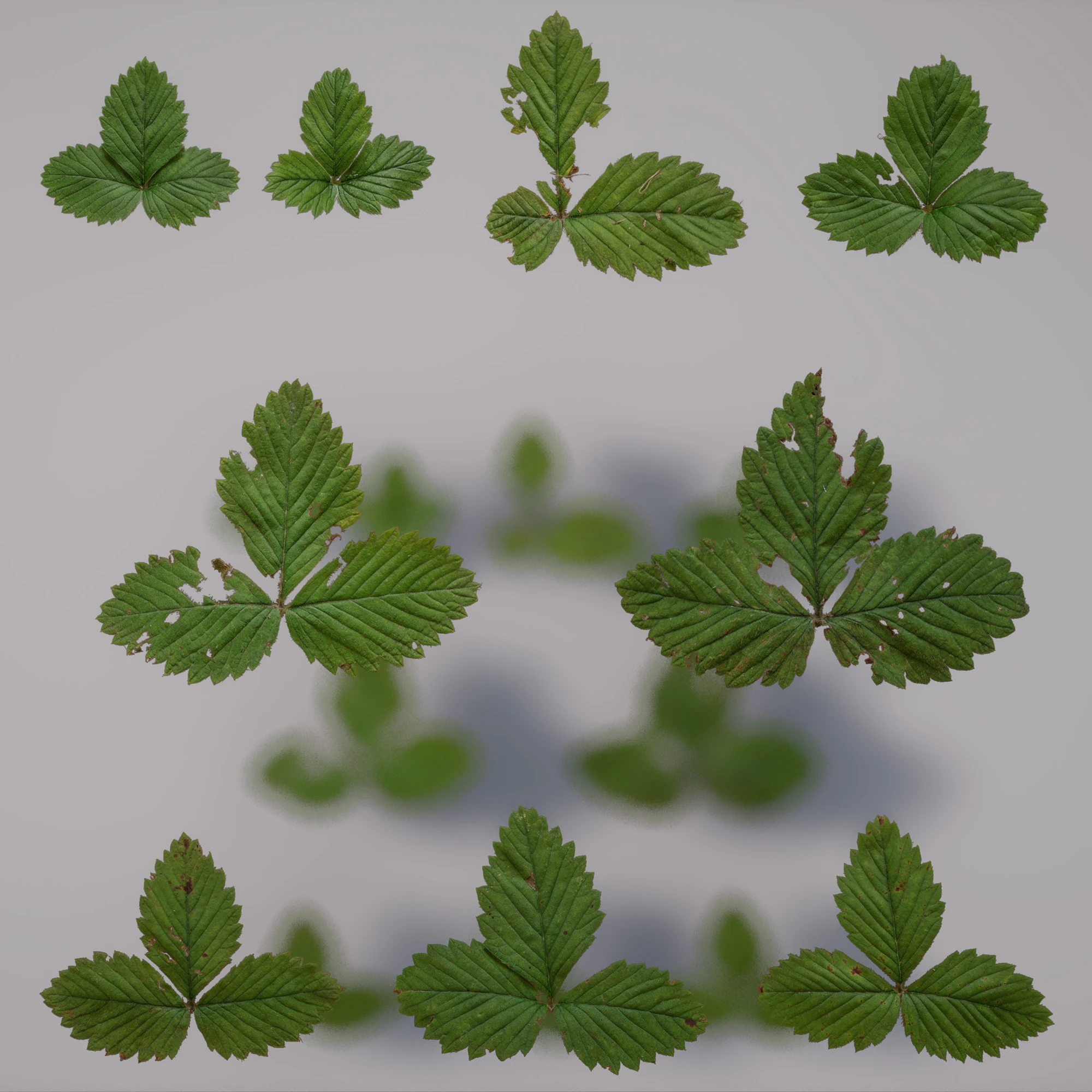 wild strawberry 001 — Скачать