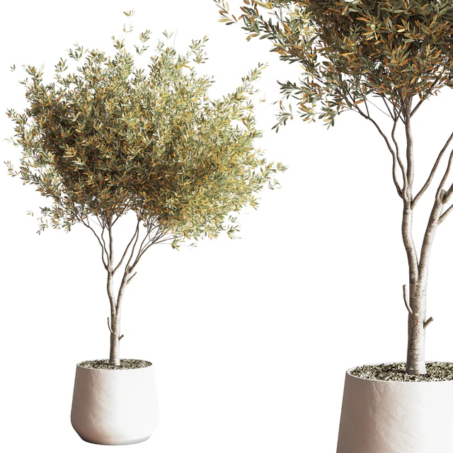 IndoorSetPlant054 — Descargar