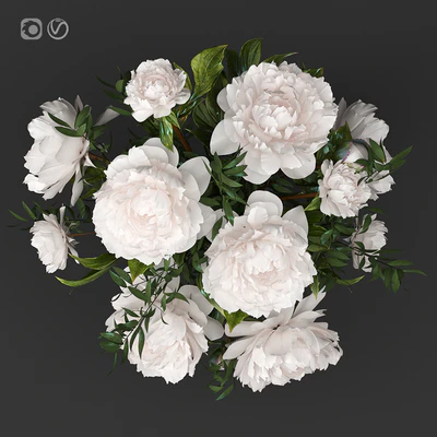 Bouquet 8 — Ver 4