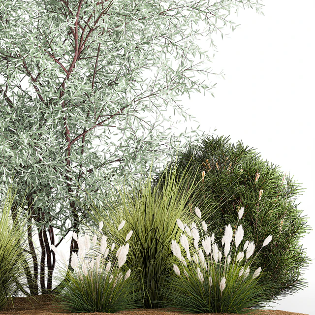 Альпийская горка с кустами олива, сосна, камыш, Ковыль трава, Лох серебристый. Набор растений 1189 — Скачать