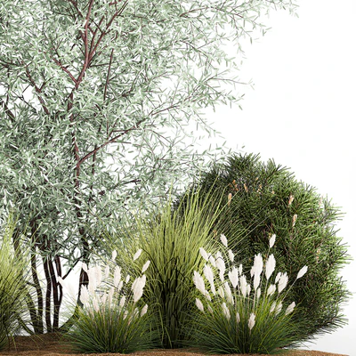 Альпийская горка с кустами олива, сосна, камыш, Ковыль трава, Лох серебристый. Набор растений 1189 — Вид 3