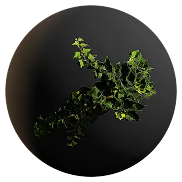 ivy 005 — Скачать