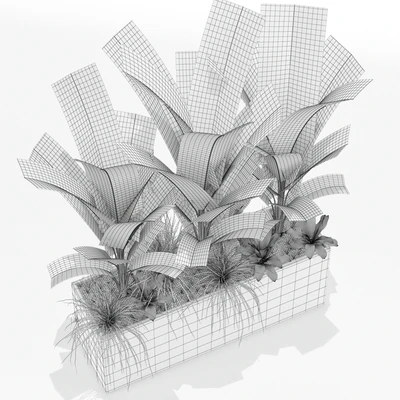 Plants collection 150 — Вид 2