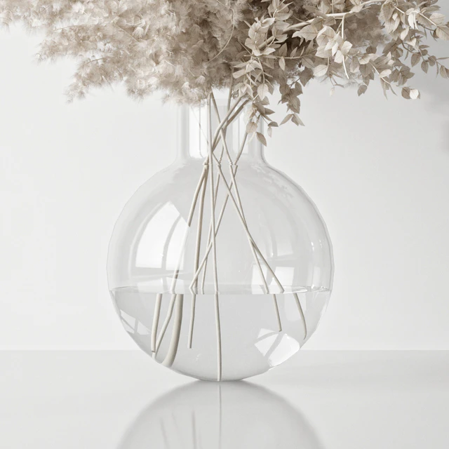 Plant — Descargar
