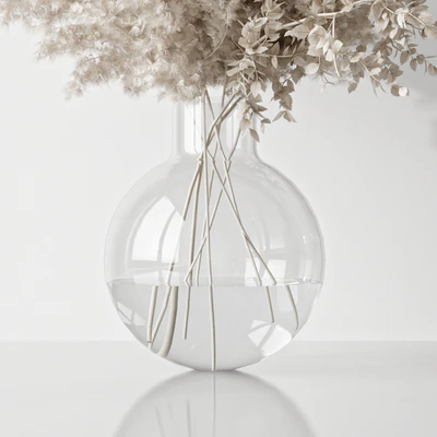 Plant — Ver 2