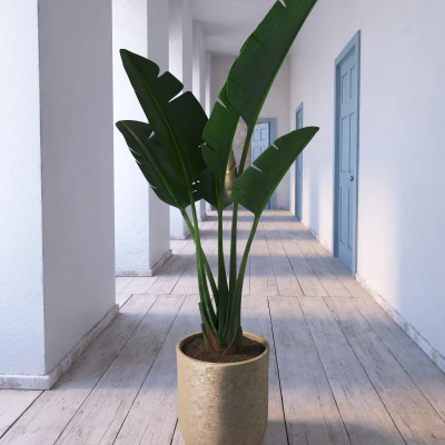 020 — скачать