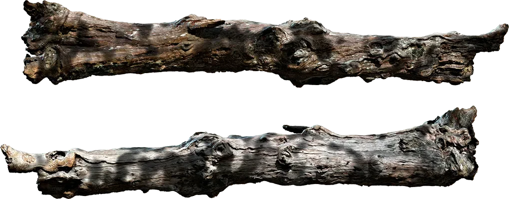 wooden log 005 — Descargar
