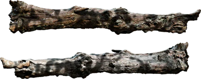 wooden log 005 — Descargar
