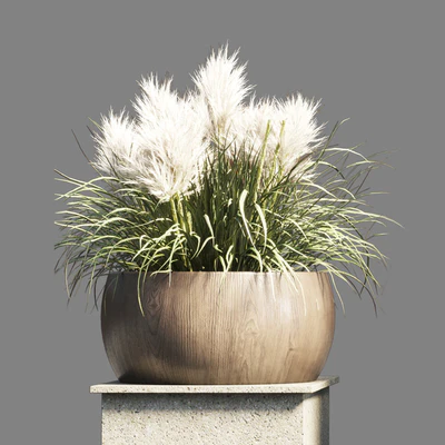 Collection outdoor indoor 70 pot palnt grass the dry pampas stand vase wooden — Ver 2
