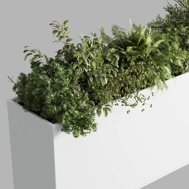 plastic box plants on stand - set indoor plant 389 — Скачать