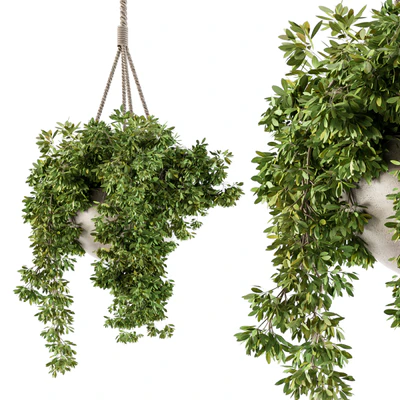 Hanging box plant - Set 82 — Ver 1