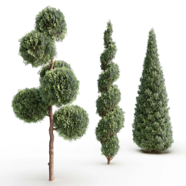 Thuja # 1 (Thuja # 1) — Descargar