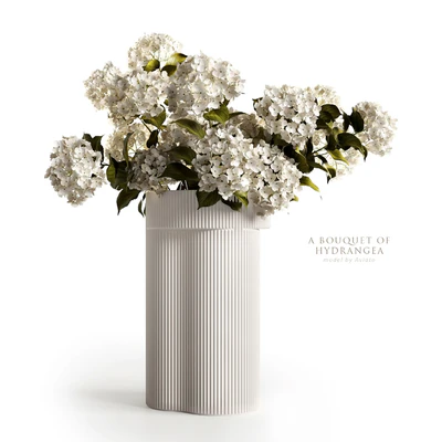 A bouquet of hydrangea 2 — Ver 2
