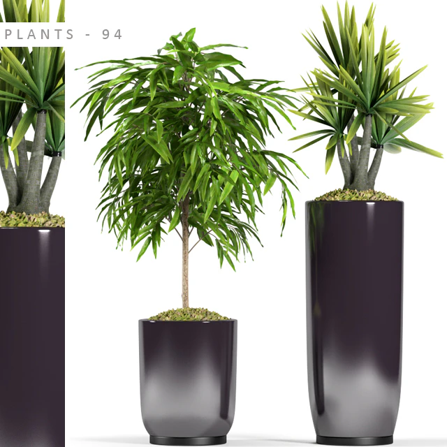 PLANTS 94 — Descargar