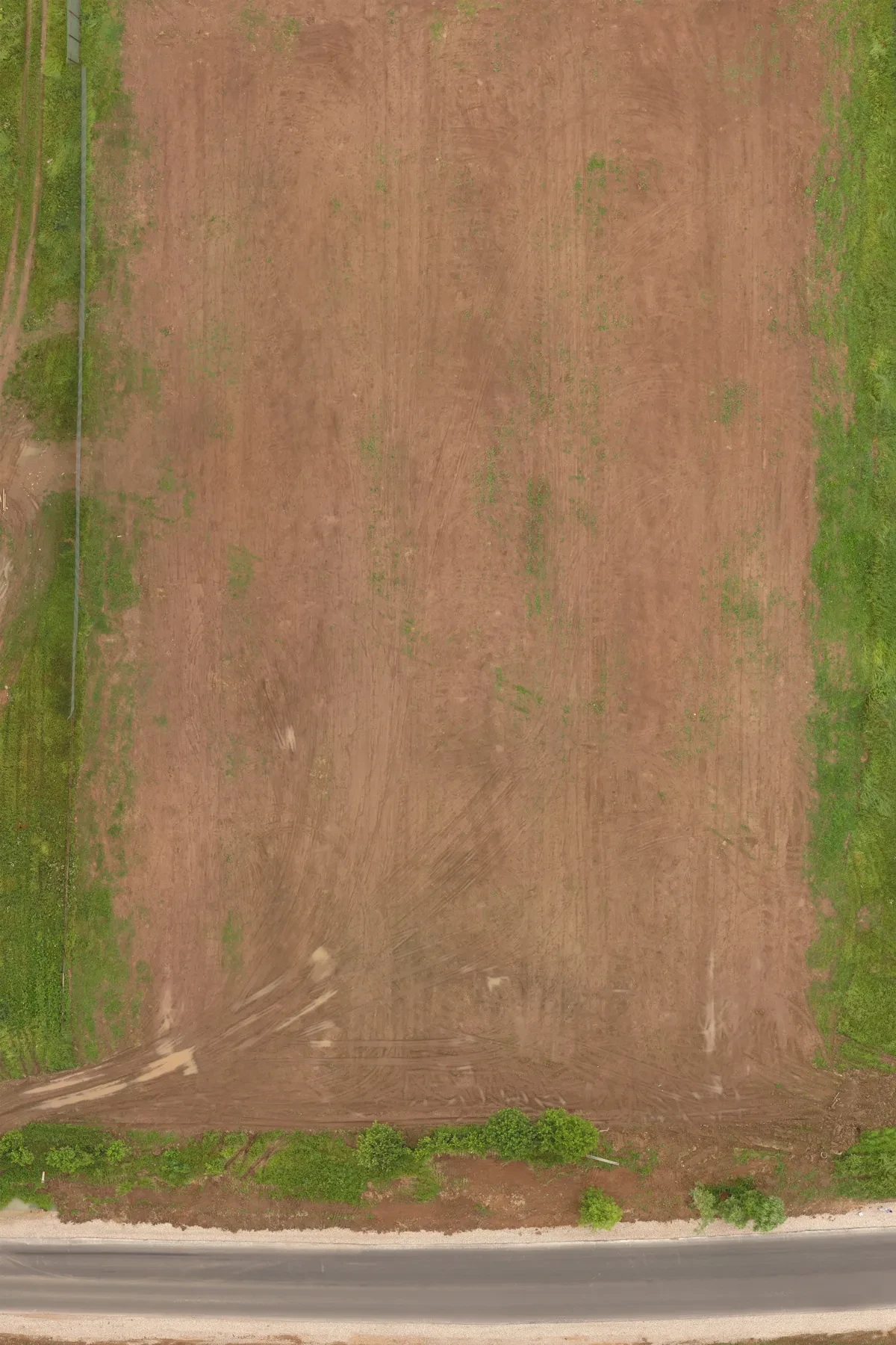 field summer 027 — Descargar