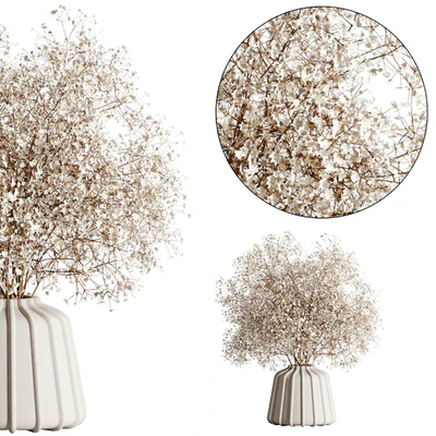 pampas set 04 — Ver 2
