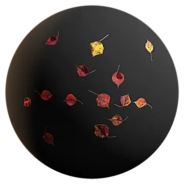fallen leaves 006 — Descargar