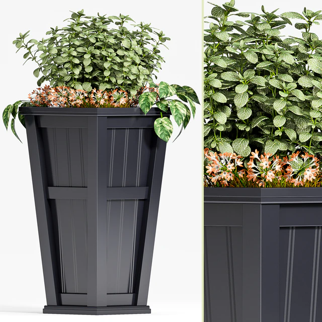 PLANT SET -88 — Скачать