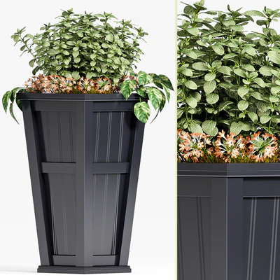PLANT SET -88 — Вид 1
