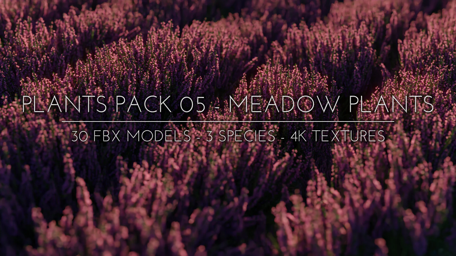 plants pack 005 meadow plants — Скачать