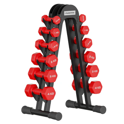 Fitness dumbbell rack for 6 pairs FLEXTER — download