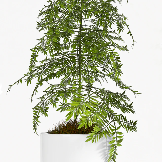 PLANT SET - 77 — Descargar