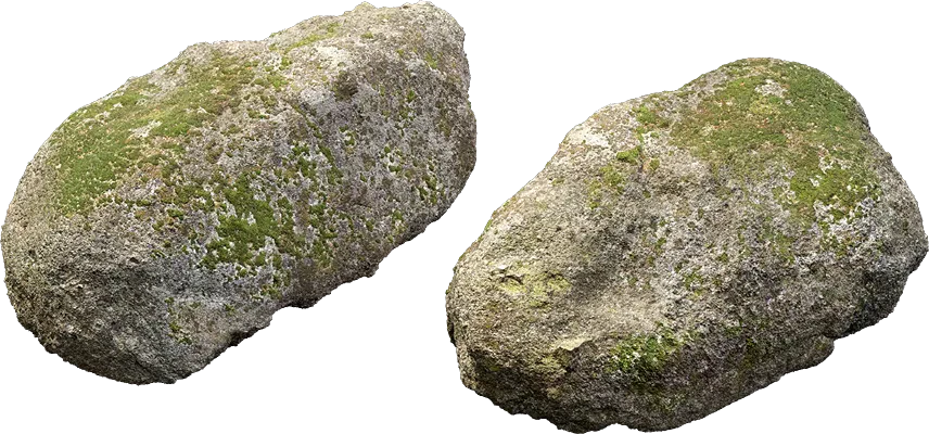 mossy forest boulder 016 — Descargar