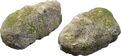 mossy forest boulder 016 — Descargar