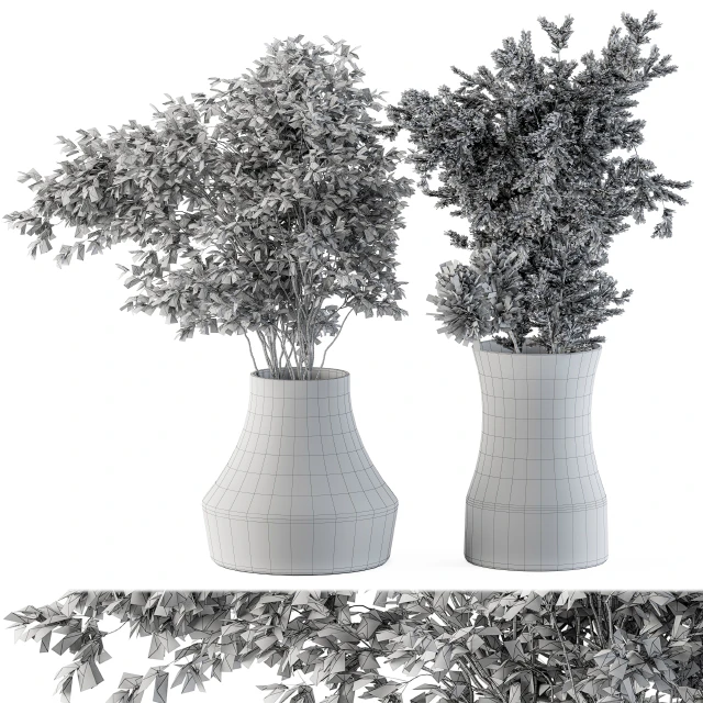 Dry plants 43 - Dried Plant Pampas — Descargar
