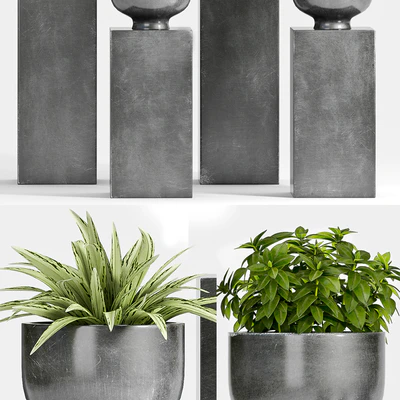 PLANT -54 — Вид 3