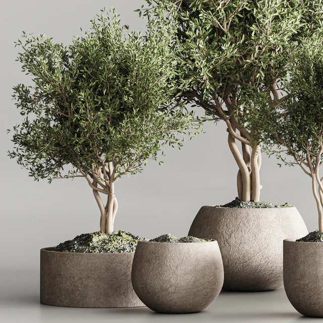 indoor plant stand 61 — Descargar