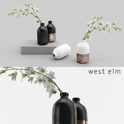 Westelm vases with Orchids — Скачать