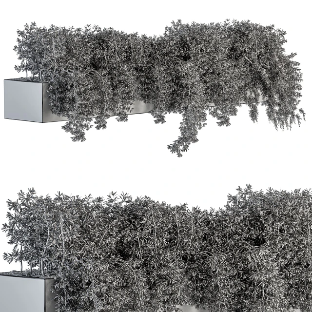 ivy plants in box - Outdoor Set 80 — Download