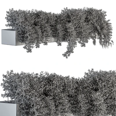 ivy plants in box - Outdoor Set 80 — View 4