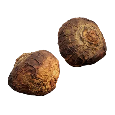 banquet turnip roasted 001 — Скачать