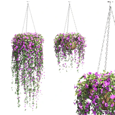 Petunia in hanging pots. 2 models — Ver 1