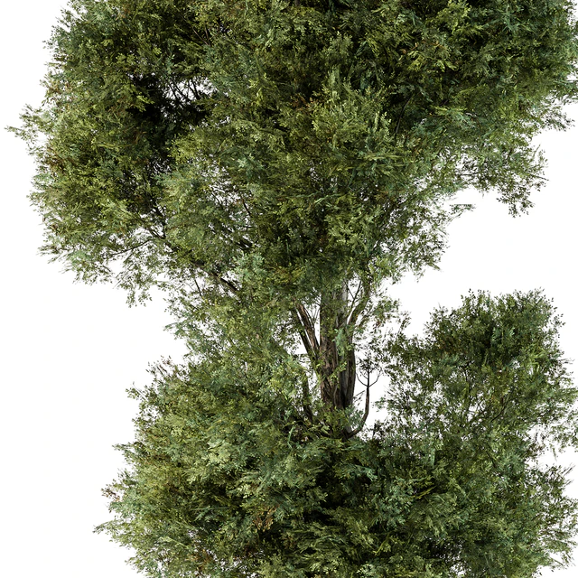 Tree Green Maple - Set 98 — Скачать
