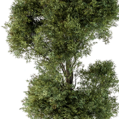 Tree Green Maple - Set 98 — Вид 2