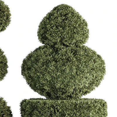 Topiary shape Bush - Bush Set 65 — Вид 2