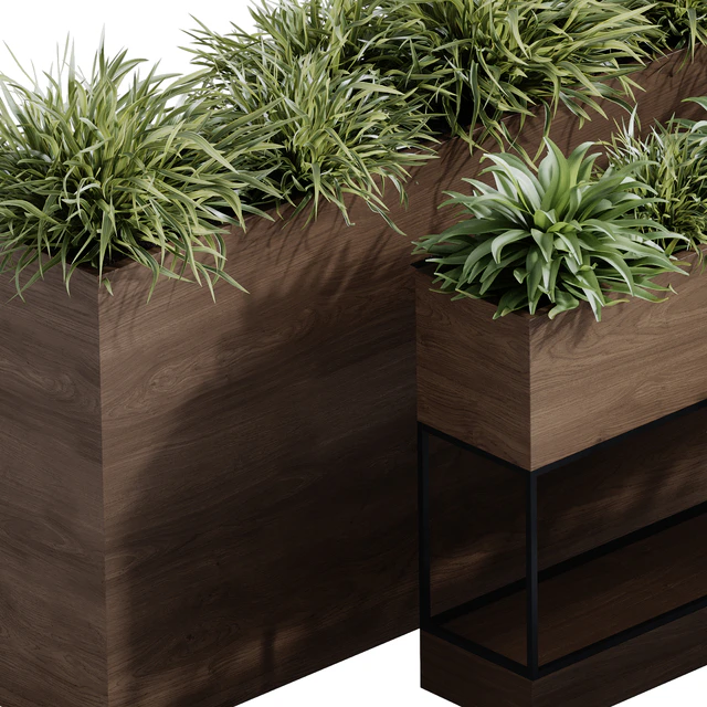 indoor plant set 65 — Descargar