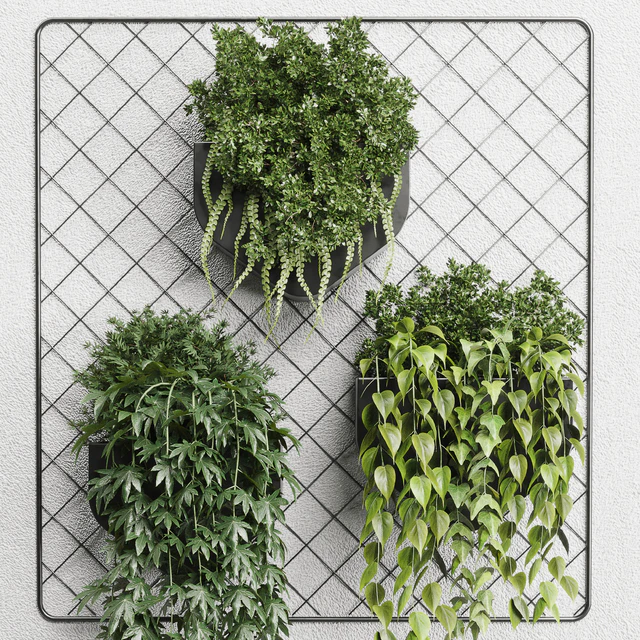 wall plant - hanging plants collection Indoor plant 293 metal dirt vase — Descargar
