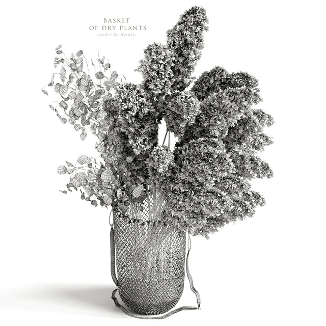 Basket of dry plants — Скачать