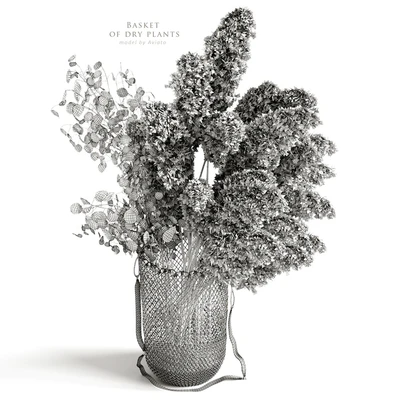 Basket of dry plants — Вид 2