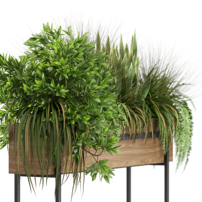 Plants collection 587 — Вид 3