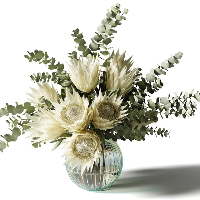 Bouquet with white proteas and eucalyptus in a ribbed glass vase — Descargar