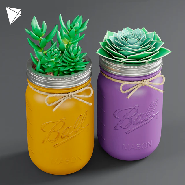 Pot Ball Mason Jar Succulent — Скачать